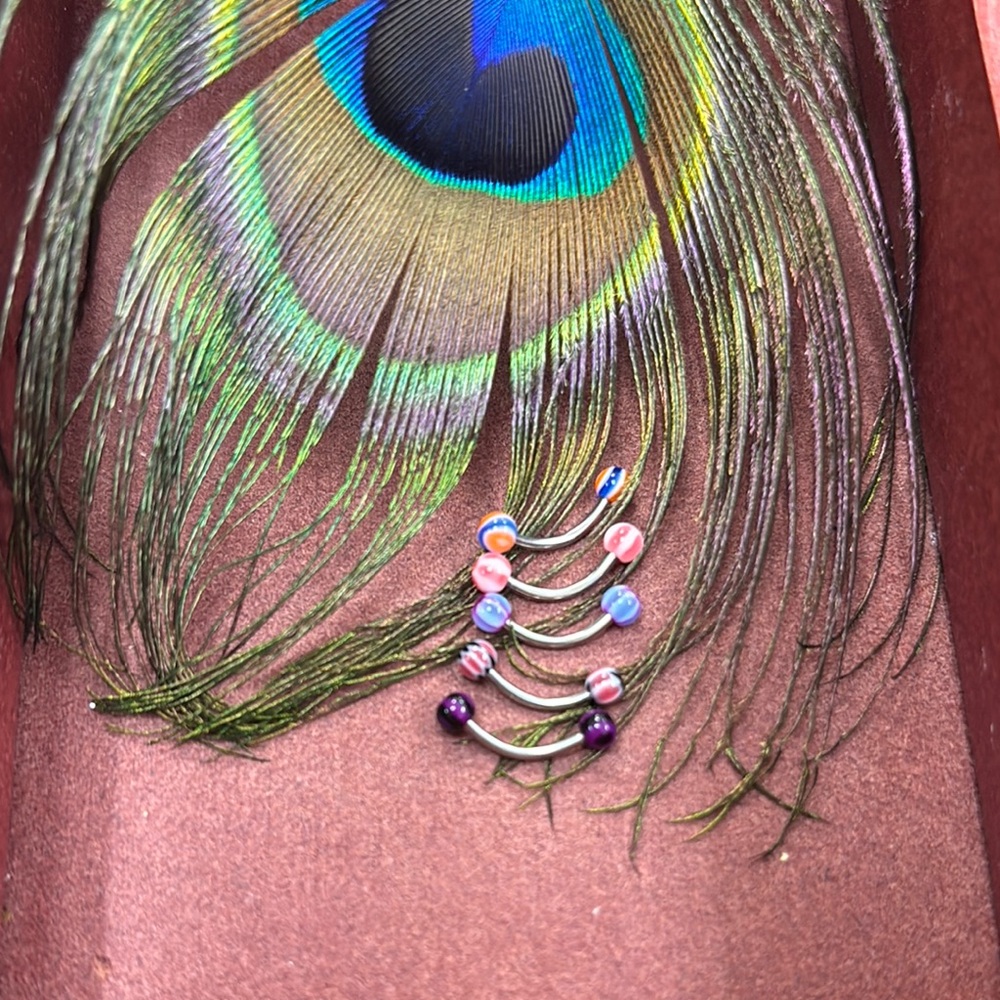 16g Curved Multi-Color Eyebrow Rings (660211) - Picture 1 of 4